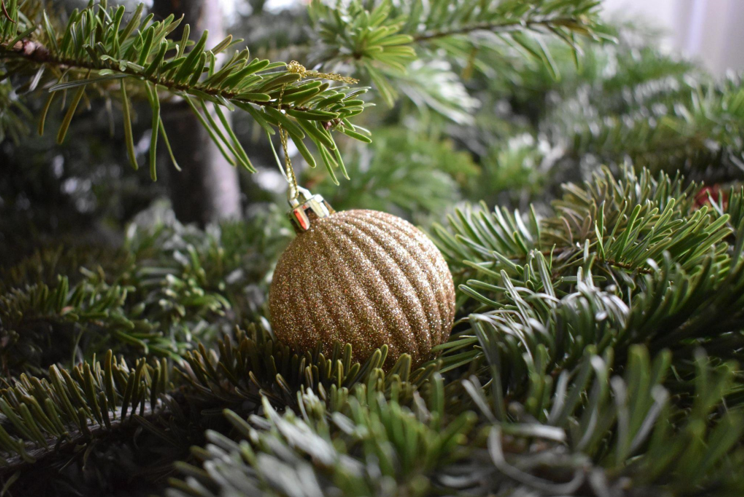 The Politics Behind Artificial Christmas Trees: A Conservative Perspective