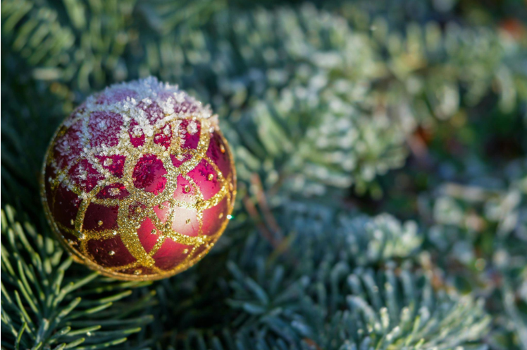 Christmas Trees on Sale: Brighten Your Holidays